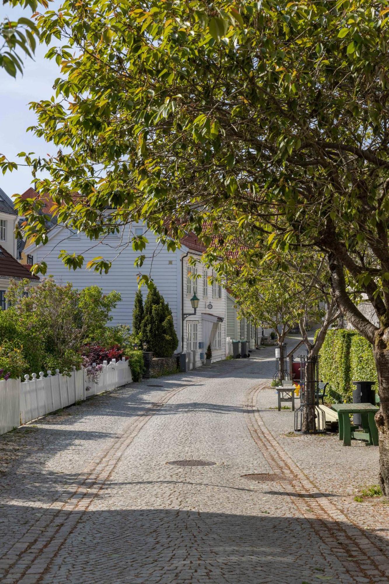 Nydelig Townhouse Sentralt I Bergen, Sandviken Appartement Bergen