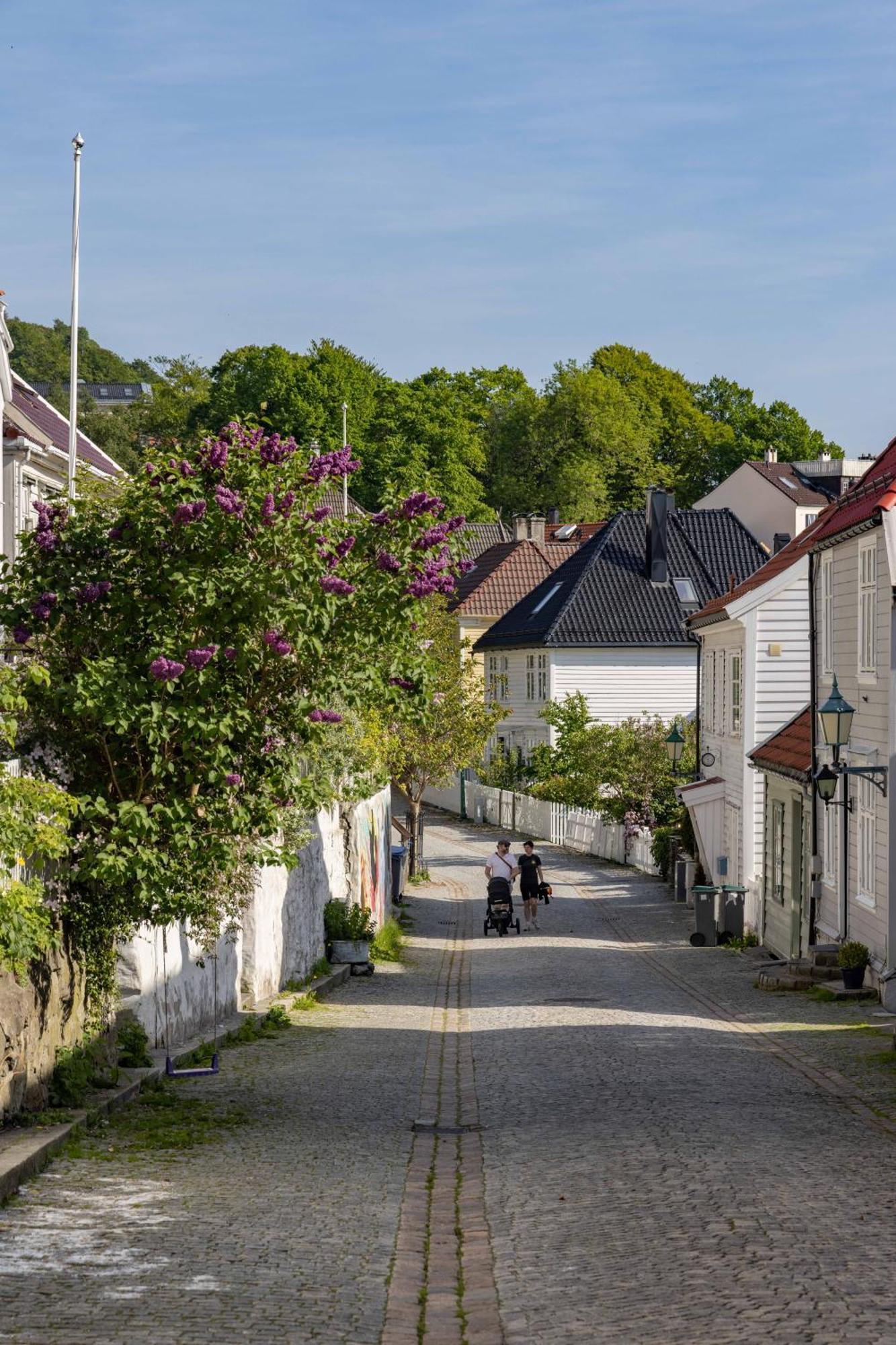 Appartement Nydelig Townhouse Sentralt I Bergen, Sandviken Bergen